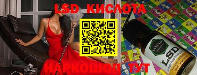 СК Кингисепп