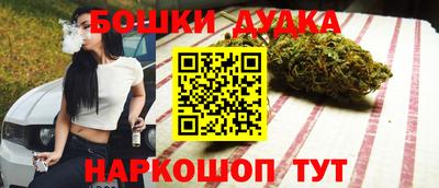 СК Кингисепп
