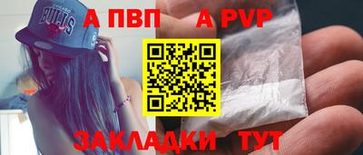 СК Кингисепп