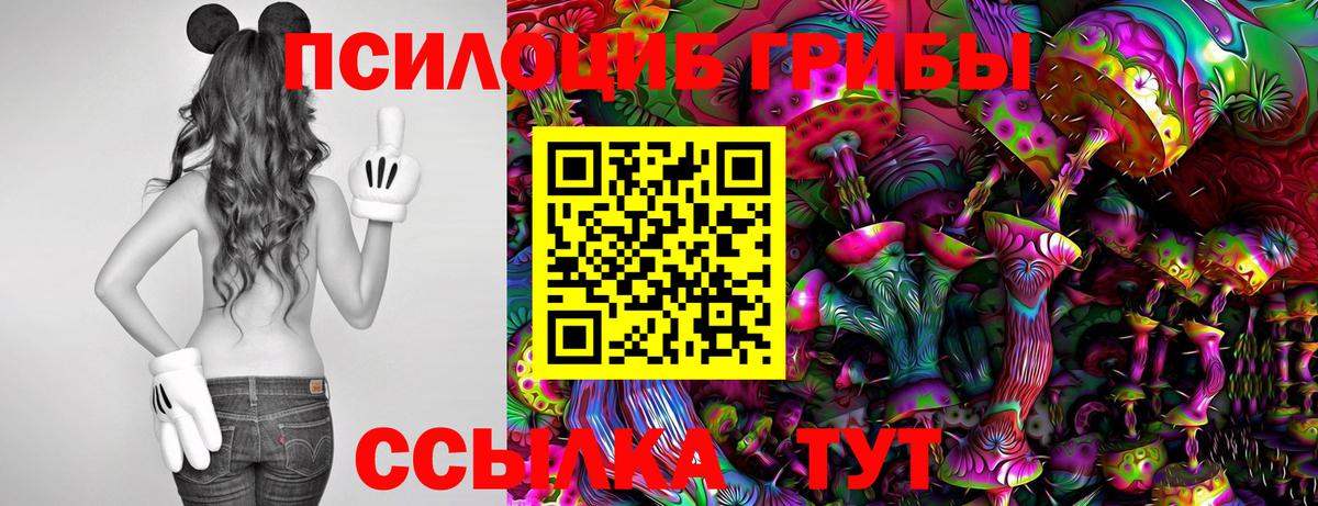 Псилоцибиновые грибы Magic Shrooms Красноярск